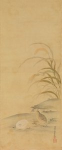 鹌鹑和小米，17世纪末。 作者 清原雪信