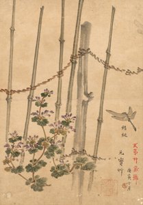 竹篱笆和菊花 作者 河野白令