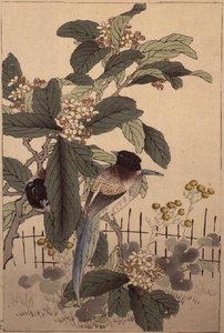 花丛中的蓝尾鸟 来自Bunrei Kacho Gafu, pub.1885