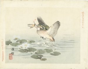 翠鸟
百灵花鸟素描（系列标题）
Barei kacho gafu（物体上的系列标题） 作者 青木小三郎
