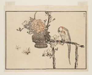 Parrot (Inko) (colour woodblock print)