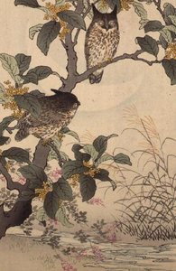 树上的两只猫头鹰，出自小野百合(1844-95)的《Bunrei Kacho Gafu》，出版。1885