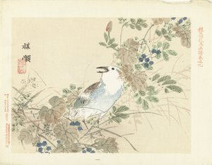 秋草中的鸣鸟
百合的花鸟素描（系列标题）
百合花"（系列标题，印在实物上） 作者 青木小三郎