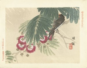 燕子
百合花鸟素描（系列标题）
百合花 "系列（物上标题） 作者 青木小三郎