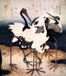 五只白羽鹤在沙嘴上的各种姿势，来自《三瓣》系列，约1816年（水墨）。 作者 久保申曼