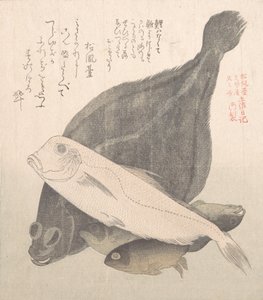 比目鱼和其他鱼类，19世纪。 作者 久保顺曼