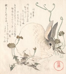 野兔和蒲公英，大概在1820年。 作者 久保顺曼