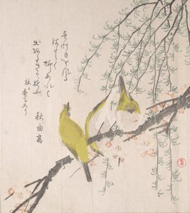 日本白眼狼与梅树和柳树......，约1810年。 作者 久保顺曼