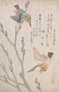 翠鸟和Pussy-willow，19世纪。 作者 久保顺曼
