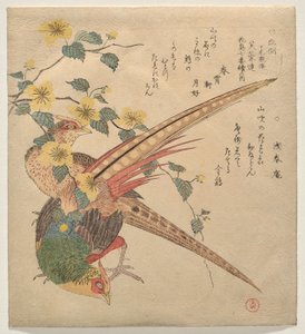 一对中国雉鸡和一枝山吹花 作者 久保顺曼