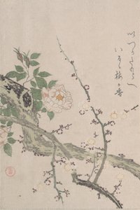 玫瑰和梅花，19世纪。 作者 久保顺曼