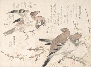 麻雀与梅花》，19世纪。 作者 久保顺曼