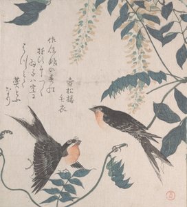 燕子和紫藤，19世纪。 作者 久保顺曼
