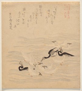 鸬鹚和海鸥聚集嬉戏的地方》，选自《托萨-尼基》系列 作者 久保顺曼