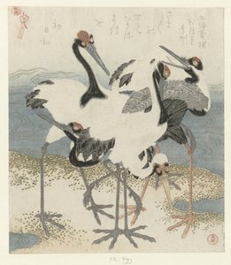五只仙鹤