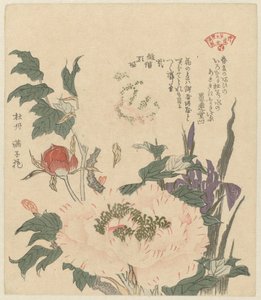 牡丹和鸢尾花 Kakitsubata botan（物体上的标题） 霞诗人协会植物选（丛书名） Kasumiren sômoku awase（物体上的系列标题）