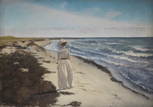 Karrebæksminde 海滩的女士，新西兰