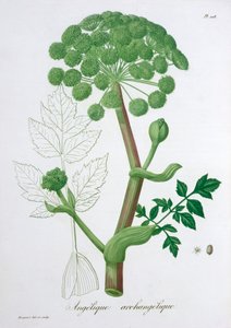 苻坚花园苻坚，1821年 作者 LFJ霍夸特
