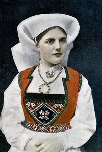 穿着挪威民族服装的妇女，约1890年 作者 L·布朗热
