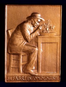 让·亨利·法布尔（Jean Henri Fabre），法国昆虫学家，1911年 作者 父权制