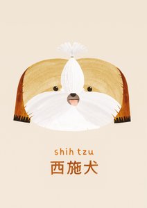 西施犬，2019 年 作者 莉亚·勒·皮维尔