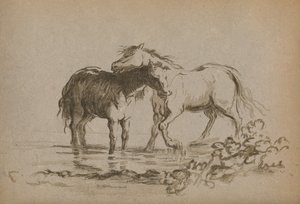马》，1903年 作者 戴安娜·斯宾塞夫人