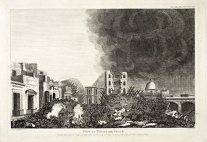 托罗德尔格列柯的景色：在维苏威火山爆发后的第8天拍摄，1794年6月15日，1822年（雕刻和蚀刻） 作者 菲茨杰拉德夫人