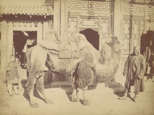 北京。第923号，1867年。 作者 赖芳。