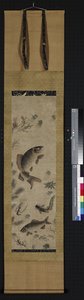 湖中的鱼 作者 来安来安