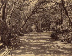 苏克-维拉斯宫花园，1880-90。