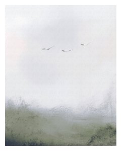 鸟儿飞过田野，约2018年（混合媒介）