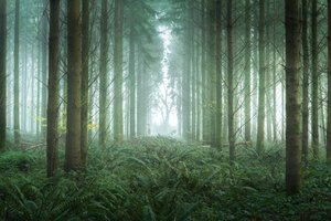 荆棘路，2023 年（照片）