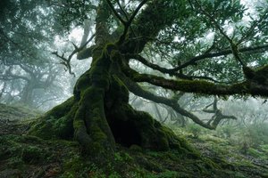 遗忘之地，2025 年（照片）