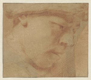 男孩头朝右 作者 Annibale Carracci（拒绝归因）
