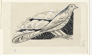 鸽子