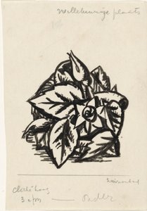 鲜花 作者 里奥格斯特尔