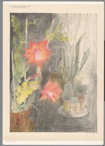 仙人掌花盆和盛开的植物 作者 里奥·维瑟