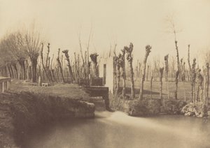 风景，蒙特贝罗，约 1860 年（照片1860 年（照片） 作者 莱昂·热拉尔