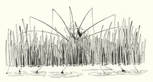 首行索引》（雕刻）。 作者 伦纳德·莱斯利·布鲁克
