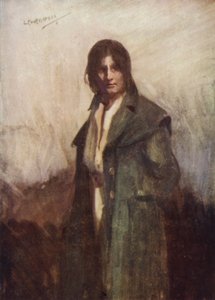 在脚手架的悉尼Carto