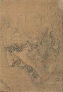 尖叫者的头颅 作者 达芬奇 (Leonardo da Vinci) (追随者)