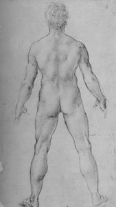 从背面看裸体男子，c1480 1945年