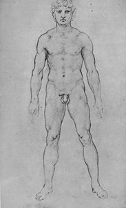 从正面看裸体男子，c1480 1945