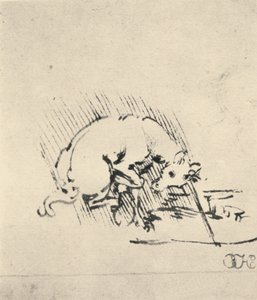 独角兽将角浸入水中，c1480 1945年 作者 达芬奇（Leonardo da Vinci）