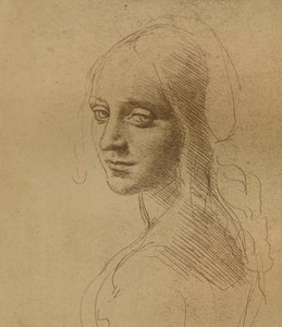 女头，c1472-c1519 1883， 作者 达芬奇（Leonardo da Vinci）