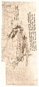 代表地中海的地图，c1472-c1519 1883年 作者 达芬奇（Leonardo da Vinci）