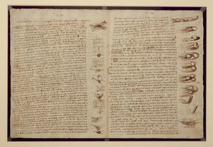 法典莱斯特的一页，1508-12（亚麻纸上的棕褐色墨水） 作者 达芬奇（Leonardo da Vinci）