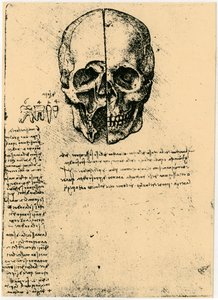 人类颅骨的解剖草图，c1472-1519 作者 达芬奇（Leonardo da Vinci）
