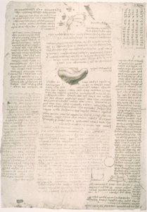 解剖学研究 作者 达芬奇（Leonardo da Vinci）