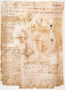 解剖学研究：腹部器官... 作者 达芬奇（Leonardo da Vinci）